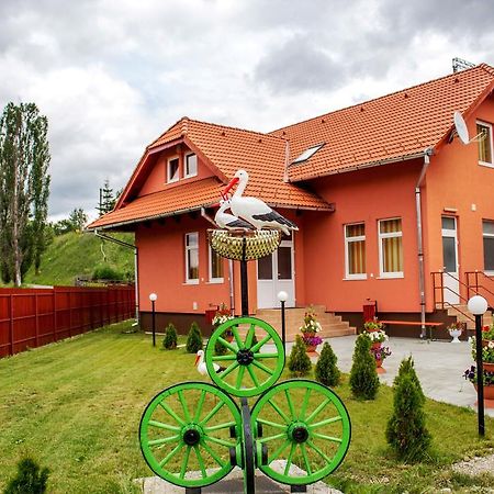 Lunca de Sus Picnic Panzio B&B 외부 사진