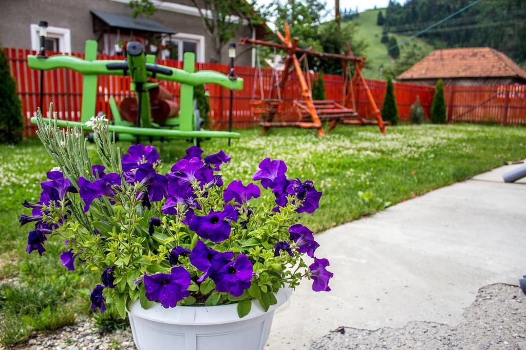 Lunca de Sus Picnic Panzio B&B 외부 사진
