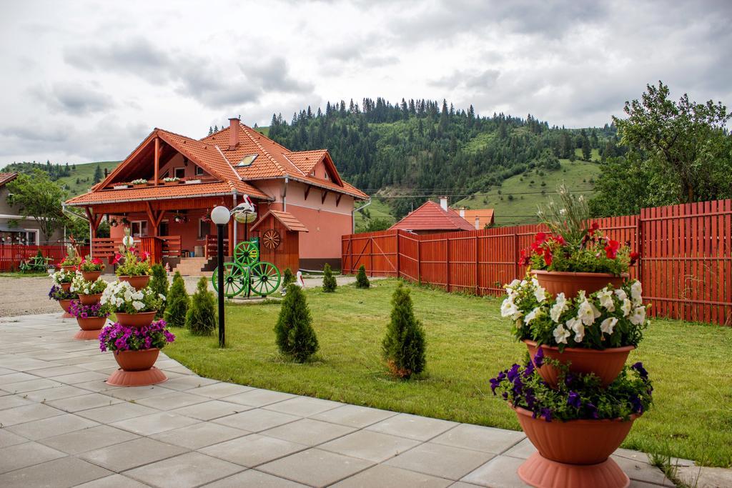 Lunca de Sus Picnic Panzio B&B 외부 사진