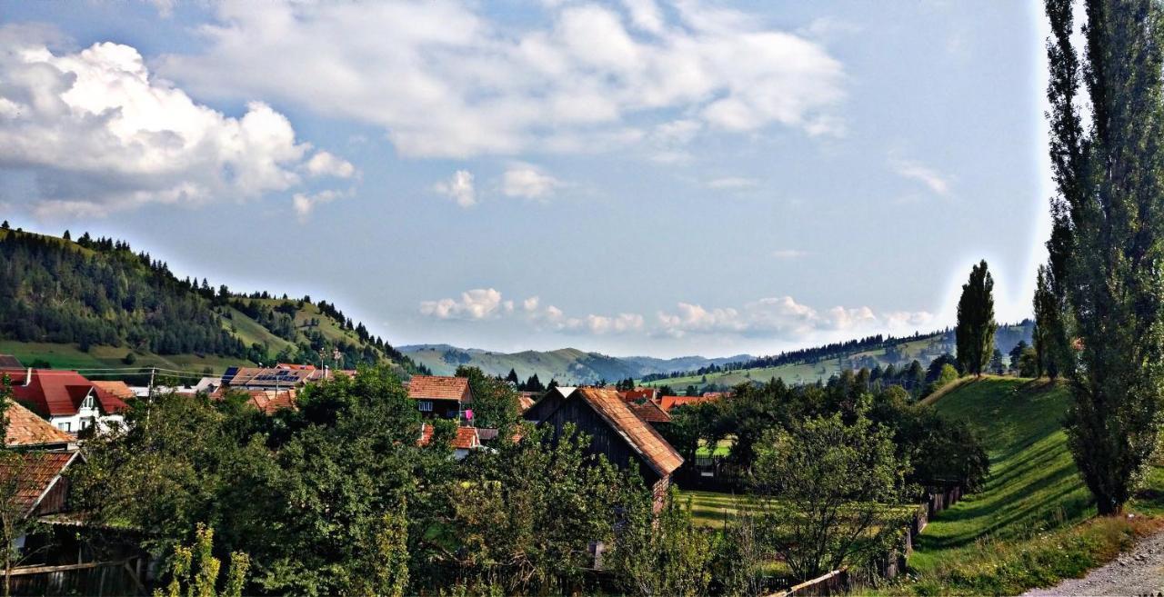 Lunca de Sus Picnic Panzio B&B 외부 사진