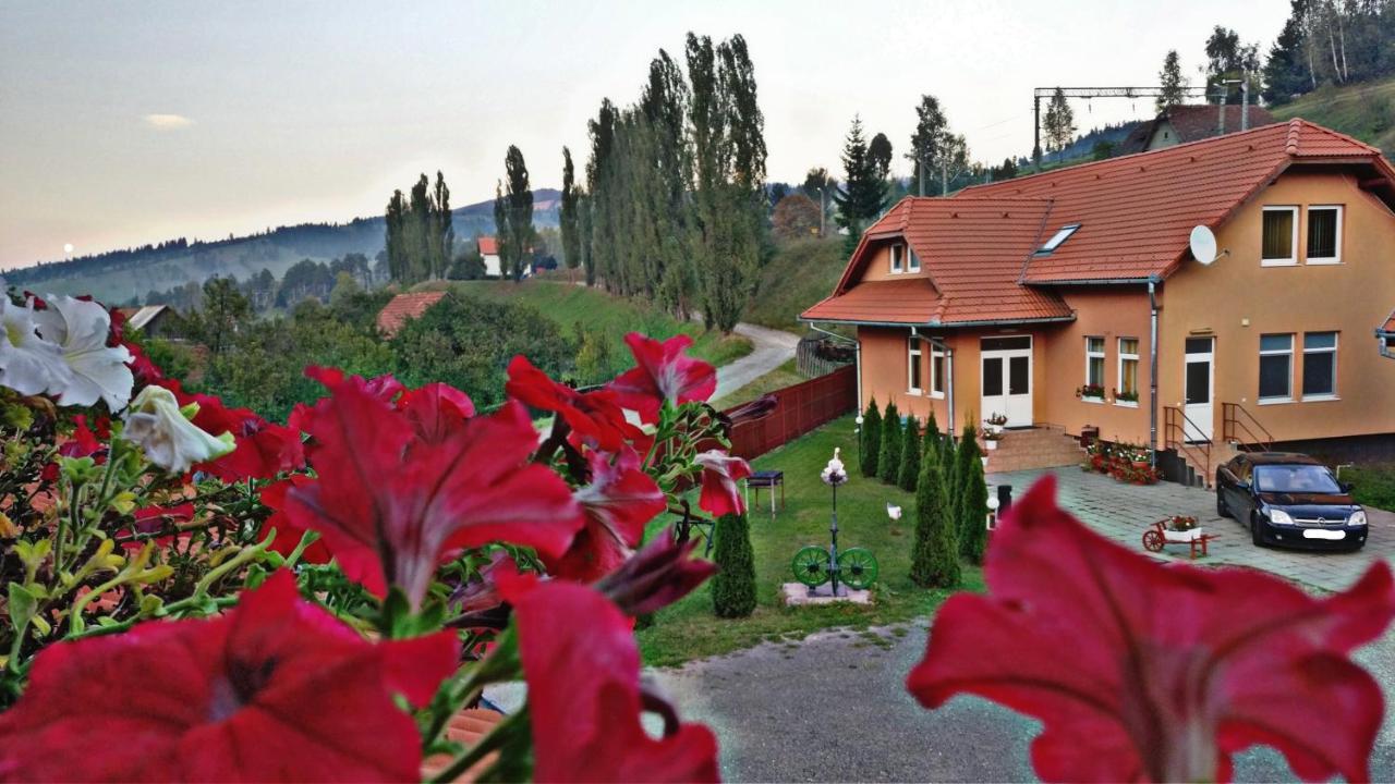 Lunca de Sus Picnic Panzio B&B 외부 사진