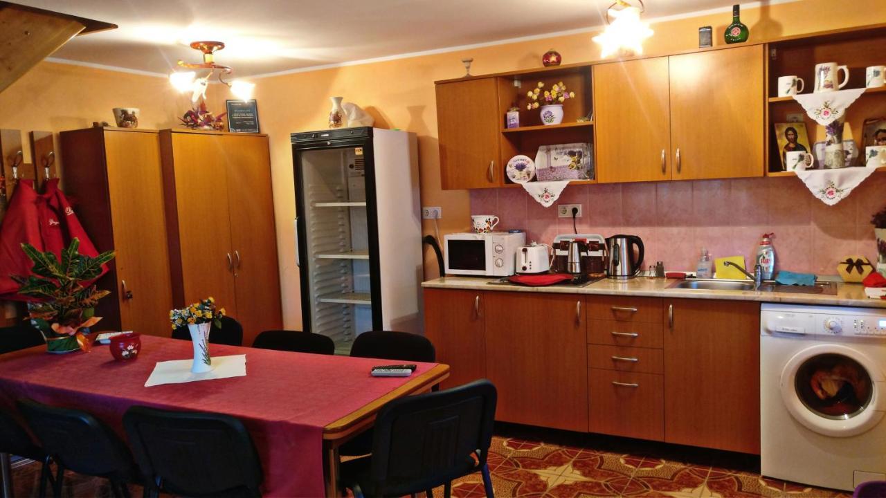 Lunca de Sus Picnic Panzio B&B 외부 사진